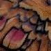 Tattoos - Moth Wings - 54070